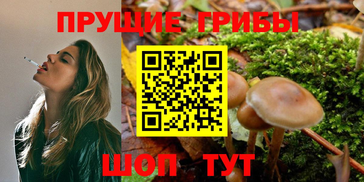 Энгельс  Галлюциногенные грибы мицелий  Вход с VPN  Галлюциногенные грибы Cubensis 