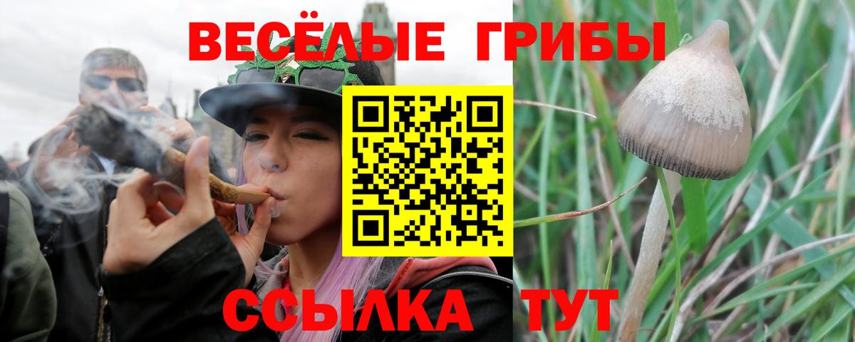 Галлюциногенные грибы Magic Shrooms Энгельс